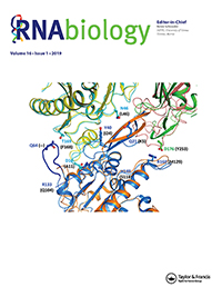 Cover image for RNA Biology, Volume 16, Issue 1, 2019