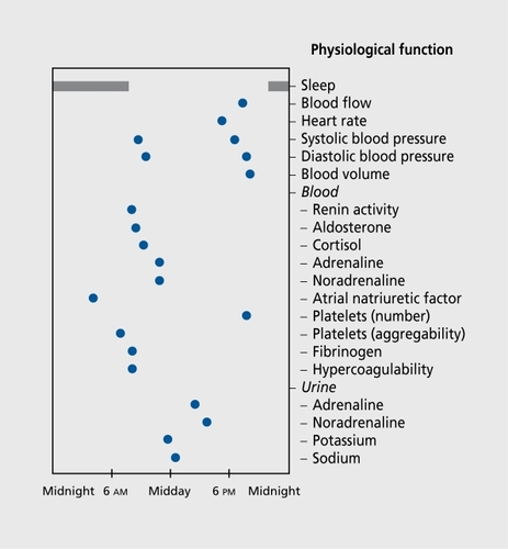 Figure 1. Aspects of the human temporal organization: physiological functions of the cardiovascular system. The acrophase (Φ) location (blue circles) of any of the considered rhythms is not randomly distributed over 24 h. On the contrary, acrophases represent physiologically validated temporal relationships. The healthy young human adults' synchronization was approximately 16 h of diurnal activity and 8 h of nocturnal rest. Reproduced from reference 26: Reinberg A. Chronobiologie Médicale, Chronothérapeutique. Paris, France: Flammarion Médecine-Sciences: 2003. Copyright © 2003, Flammarion Médecine-Sciences.