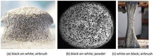 Figure 2. Example of specimens with different speckle patterns: (a) black-on-white speckle pattern created with the airbrush airgun technique on a porcine vertebral body; (b) black-on-white speckle pattern created with the powder technique on a bovine cornea (picture courtesy of Dr Brad L. Boyce, (Boyce et al. Citation2008)); (c) Speckle pattern created with airbrush airgun technique, white-on-black, on a human Achilles tendon (picture adapted from (Luyckx et al. Citation2014)).