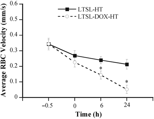 Figure 1. Average RBC velocities in 4T07 tumors treated with LTSL-DOX-HT (n = 7) and LTSL-HT (n = 5). The velocity was measured at 0.5 h before, at 0, 6 and 24 h after the treatment. Error bars, SEM; *, p < 0.05, when comparing data between LTSL-DOX-HT and LTSL-HT groups. In addition, the velocities at 0, 6, and 24 h were significantly less than that before the treatment in the LTSL-DOX-HT group (p < 0.05), whereas the decrease in RBC velocity after the treatment was statistically significant (i.e. p < 0.05) only at 24 h in the LTSL-HT group.