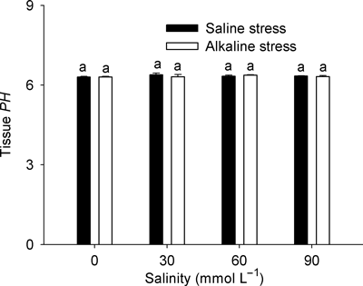 Figure 7 Effects of saline and alkaline stress on the tissue pH in Lathyrus quinquenervius shoots. The 8-week-old L. quinquenervius seedlings were treated with saline stress (NaCl : Na2SO4 = 9:1; pH 6.44–6.65) and alkaline stress (NaHCO3 : Na2CO3 = 9:1; pH 8.71–8.89) for 10 days. In each column, the data markers identified with the same letters are not significantly different (P < 0.05) according to a least significant difference test. The error bars represent ± SE (n = 4) of four replicates.