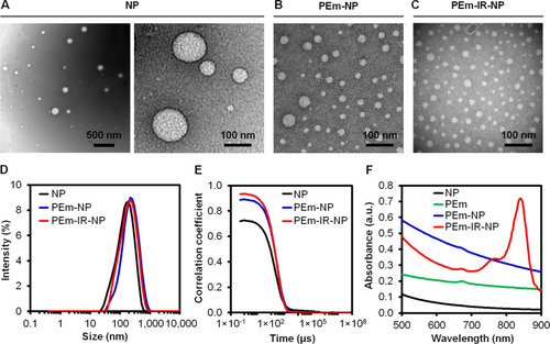 Figure 2 Negative-stained TEM images of (A) NP, (B) PEm-NP, (C) PEm-IR-NP, (D) corresponding intensity-weighted hydrodynamic size distribution, (E) correlograms, and (F) absorption spectra. The scale bars are displayed on each image.