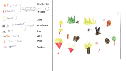 Figure 3. Examples of the ‘smellmaps’ children created in response to the smellwalk.