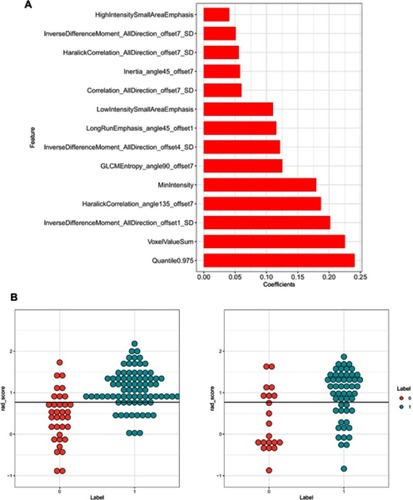 Figure 3 (A and B) Features used in the model and a description of the rad-score calculation. The least absolute shrinkage and selection operator (LASSO) logistic regression analysis identified 14 suitable radiomic features for building the prediction model (A). On the left is the training cohort, on the right is the validation cohort, and red and blue represent the real group. The middle black line represents the cut-off value. If the black line can separate the red point from the blue point, it means that the model identification ability is better (B).