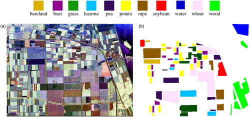 Figure 1. The first PolSAR image: (a) Pauli RGB image; (b) ground truth reference map.