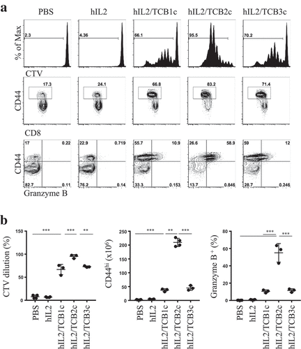 Figure 1. Generation of anti-human IL-2 antibodies that stimulate CD8 T cells as a cytokine-antibody complex