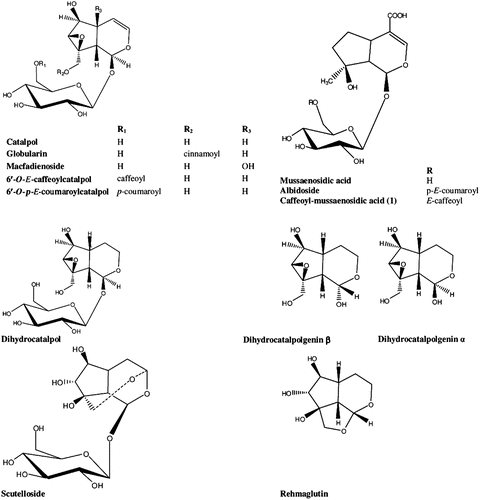 Figure 1.  Structures of iridoids.