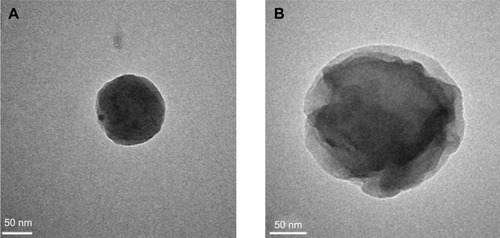 Figure 4 TEM photograph of the (A) CS and (B) DM-β-CD/CS nanoparticles.Abbreviations: CS, chitosan; DM-β-CD, (2,6-di-O-methyl)-β-cyclodextrin; TEM, transmission electron microscope.