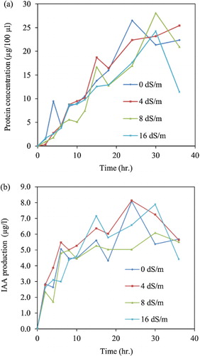 Figure 1. Growth and IAA production of Pseudomonas sp. PDMZnCd2003 under salinity conditions (4, 8, 16 dS/m and control). (a) Growth-curve and (b) IAA production.