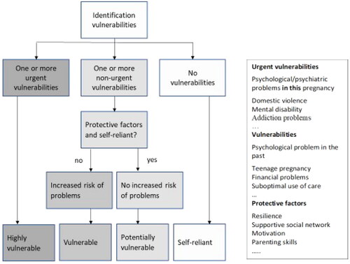 Figure 1. Rotterdam definition of vulnerability (van der Meer et al. [Citation10]).