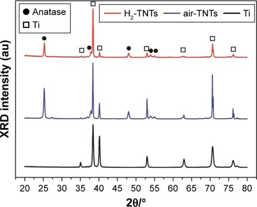 Figure 3 XRD patterns of Ti substrate, air-TNTs, and H2-TNTs.Abbreviations: XRD, X-ray diffraction; Ti, titanium; air-TNTs, air-annealed TiO2 nanotubes; H2-TNTs, hydrogenated TiO2 nanotubes.