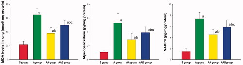 Figure 4. The effect of Ac2-26 on oxidative stress response. The MDA levels, and MPO and NADPH activities significantly increased in lung tissues obtained from ARDS rats, when compared to the S group. The oxidative stress response was significantly decreased by Ac2-26, and the inhibition of Ac2-26 was attenuated by BOC-2. ap < 0.05 vs. the S group; bp < 0.05 vs. the A group; cp < .05 vs. the AA group (Display full size, Sham group; Display full size, ARDS group; Display full size, ARDS/Ac2-26 group; Display full size, ARDS/Ac2-26/BOC group).