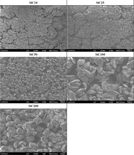 FIG. 4. Internal morphologies of ceramic filters prepared with SiC powders of various sizes.