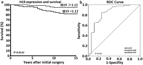 Figure 1. Expression of H19 in MI-FTC and its diagnostic and prognostic values.