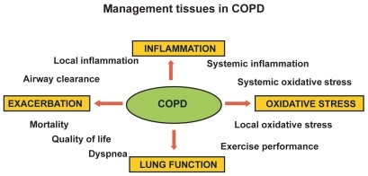 Figure 1 Management issues in COPD.