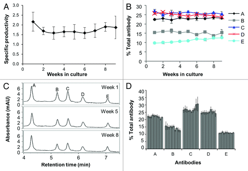 Figure 2. Long-term stability of ACT cultures. Stable pools of cells expressing five different antibodies were mixed and co-cultured. Antibody expression was measured from the cell culture supernatants by Luminex® immunoassays and CIEX chromatography. (A) Fc production is stable for ACT cultures. Data represent ten replicate vials of an ACT composed of five antibodies. Specific productivities (pg/cell/day) were calculated as described in the Methods. Error bars represent the standard deviation from the mean of the 10 cultures. (B) Stability over nine weeks of three replicate vials. Data shown are the percent of each antibody reactivity relative to the sum of all antibody reactivities as measured by Luminex® immunoassays. Error bars represent the standard deviation from the mean of the three cultures. (C) Representative CIEX chromatograms from the beginning, middle, and end of the time course. The chromatogram peaks were assigned by comparison to single antibody expressing cultures analyzed using the same HPLC conditions and method. (D) Stability of 10 replicate cultures over nine weeks. Data shown are the percent of each antibody reactivity relative to the sum of all antibody reactivities as measured by Luminex® immunoassays, where each bar represents a single culture. The error bars represent the standard deviation of Luminex® measurements of the percent of each antibody in the mixture over a nine week period.