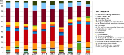 Figure 2. Functional characterization of pJBCL41 and related megaplasmids. COG stands for Cluster of Orthologous Groups.
