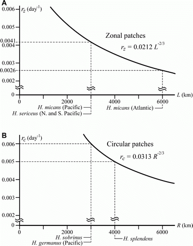 Figure 8.  Relationship between estimated growth rate and patch size of oceanic Halobates spp. for A: Zonal patches, B: Circular patches.