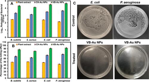 Figure 4 Antibacterial activity of VB-Au NPs in terms of (A) log10 reduction (p < 0.0004) and (B) % killing efficiency of bacterial strains in comparison to leaves extract of Viola betonicifolia and CH-Au NPs (p < 0.0004). (C) Representative images of control and treated E. coli and P. aeruginosa with VB-Au NPs.