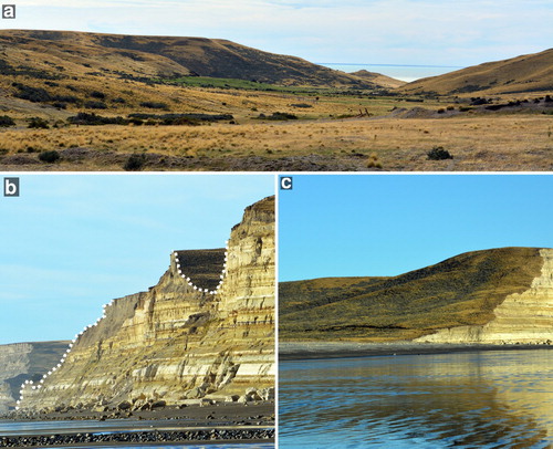 Figure 8. Field view of old canyons and gullies cutting the till plain. They show smooth and eroded slopes (a) that can reach the coastline as hanging valleys or at sea level (b and c).