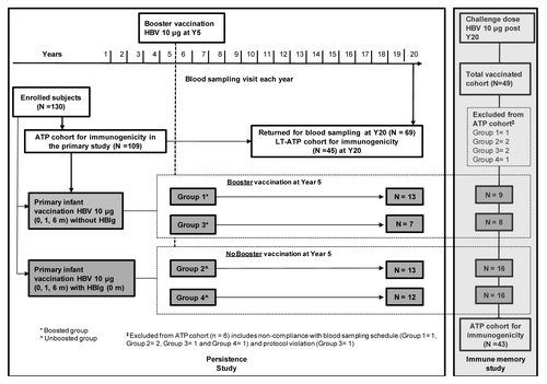 Figure 1. Study design.