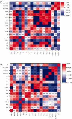 Figure 5. Spearman analysis of growth indexes and related influencing factors under drought treatment. (a) Glomus etunicatum, (b) Glomus lamellosum. Abbreviations: *significant correlation; L-D/FWR: leaf dry/fresh weight ratio; S-D/FWR: stem dry/fresh weight ratio; R-D/FWR: root dry/fresh weight ratio; DWL: dry weight of leaves; FWL: fresh weight of leaves; DWS: dry weight of stem; FWS: fresh weight of stem; DWR: dry weight of root; FWR: fresh weight of root; IR: infection rate; RCW: relative water content; SP: soluble protein; SS: soluble sugar; MDA: malondialdehyde; POD: peroxidase; SOD: superoxide dismutase; CAT: catalase.