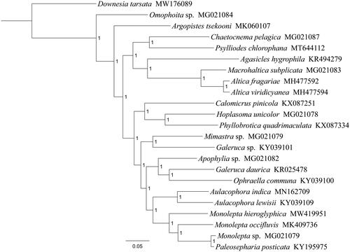 Figure 1. Phylogenetic tree based on the 13 mitochondrial protein-coding genes sequences inferred from Bayesian. Numbers on branches are posterior probabilities (PP).