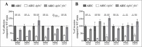 Figure 1. Deletion of fliC gene reduces AIEC ability to adhere to and invade Caco-2/TC7 cells. A: Cell-associated bacteria were quantified after a 3-h infection period. The results are expressed as the percentage of wild-type associated bacteria. B: Invasion ability was determined after gentamicin treatment for an additional hour. The results are expressed as the percentage of wild-type invasive bacteria. Each value is the mean ± standard error of mean (SEM) of at least three separate experiments. Statistical analysis were performed using one-way ANOVA with Tukey's multiple comparison test. P< 0.05 (*), P < 0.01 (**) and P < 0.001 (***).