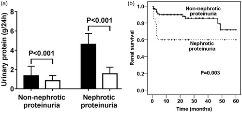 Figure 2. Comparison of the prognosis between ANCA GN patients with and without nephrotic proteinuria. (A) Comparison of the proteinuria before and after treatment of patients with and without nephrotic proteinuria. Dark column: before treatment. Hollow column: after treatment. (B) Comparison of the mortality between patients with and without nephrotic proteinuria.