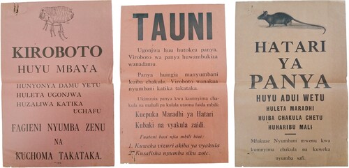 Figure 2. Broadsheets (1931) in Kiswahili about fleas (‘kiroboto’), plague disease (‘tauni’), and rodents (‘panya’). TNA 11901/v1.