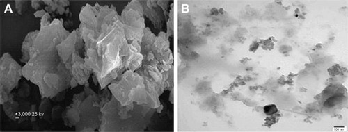 Figure 5 (A) SEM and (B) TEM micrographs of the solid [(FA2−)(VO2+)]⋅3H2O complex.