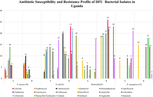 Figure 2 Antibiogram Profile of Diabetic Foot Ulcer Isolates in Uganda.