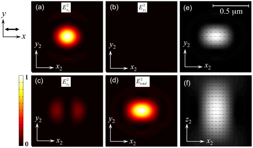 Figure 2. Numerical calculation of a–d intensity and e, f polarization distributions in focal region of high NA OL (NA = 1.4, n = 1.515): input light beam is linearly polarized along x axis, as shown in left; intensity distributions in (x2y2) plane are calculated for different components: a Display full size, b Display full size, c Display full size and d Display full size; polarization distributions are calculated for e (x2y2) plane and f (x2z2) plane respectively; small lines and their directions indicate polarization directions of light in focal region and their lengths are proportional to field strength; intensities of all images are normalized to total intensity