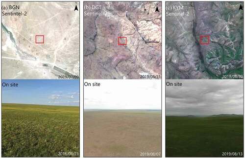 Figure 2. Satellite and on-site camera images of the ground sites: (a) Baganuur: BGN, (b) Delgertsogt: DGT, and (c) Khar yamaat: KYM. Satellite images were created from Sentinel-2A true colour images with the red squares representing the 500 m × 500 m areas covering the sites.