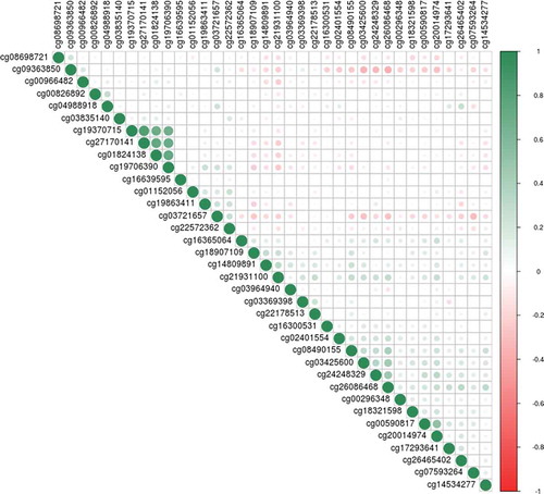 Figure 3. Effect sizes for 18 of the top 19 CpG sites in the set 1 sample plotted against the effect sizes in the set 2 sample (cg04988918 did not pass quality control in the set 2 array). The point size is determined by the -log10 of the p-values for these hits in the set 2 analysis. The two points labelled in black are the two CpG sites which achieved nominal significance in the set 2 study, and the three highlighted in red are the three co-methylated CpG sites within the CASZ1 gene