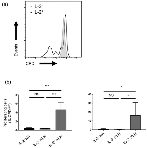 Figure 4. Proliferation of IL-2-secreting CD4+ T cells induced by KLH. (a) Representative histogram of isolated CD4+ T cells on Day 8, which were stained with CPD. (b) Frequency of CPDLow cells from IL-2− cells NA control in sextuplicate, and IL-2− and IL-2+ cells induced by KLH in triplicate are shown. Data are presented as mean ± SD. *p < 0.05, ***p < 0.001 (one-way ANOVA followed by Tukey’s test).