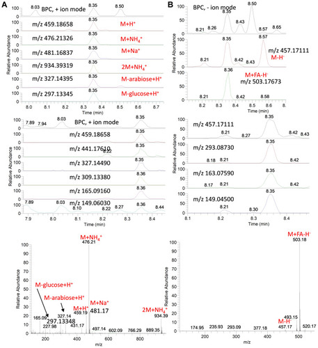 Figure 6 Base peak chromatograms (BPC) and extracted ion chromatograms (EIC) of the peak at m/z representing eugenol-arabinofuranosyl-glucopyranoside from star anise extract measured in positive (A) and negative (B) ionization modes. MS spectra are shown.