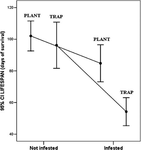 Figure 3. Interactive effect of infestation status and capture method on weevils' lifespan (days) (average and 95% confidence interval are shown). Individual infested: in plant N = 68, in trap N = 50; individuals not infested: in plant N = 68, in trap N = 50; F(1,228) = 4.80, P = 0.030.