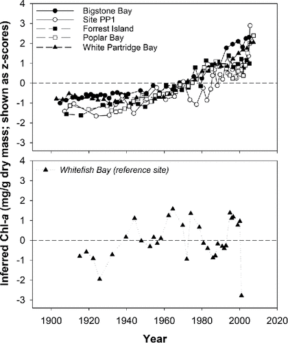 Figure 3. Line graphs of chlorophyll a (Chl-a in mg/g dry mass) changes over time, inferred using visible range spectroscopy. Data are plotted as z-scores (standardized within cores to a mean of 0 and a standard deviation of 1), and are shown for 5 impact sites (top panel) and 1 reference site (bottom panel, in italics) in Lake of the Woods, Ontario. The time period represented by each core is: Bigstone Bay (∼1905 – 2006); Site PP1 (∼1907 – 2006); Forrest Island (∼1908 – 2006); Poplar Bay (∼1910 – 2008); White Partridge Bay (∼1903 – 2008); and Whitefish Bay (∼1915 – 2002).