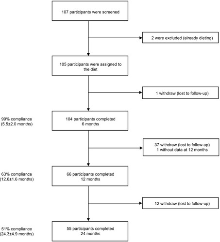 Figure 2 Patient inclusion flowchart.