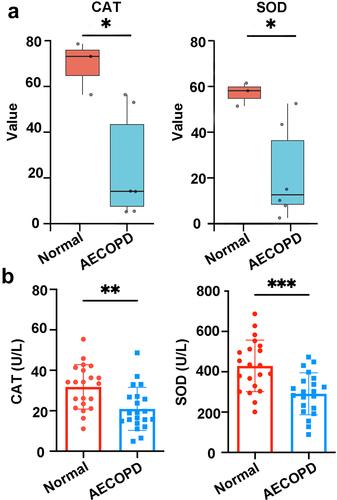 Figure 7. Oxidative stress is clinically relevant in COPD. (a) Values of CAT and SOD in the serum from the database. N = 3–6 individuals per group. (b) Concentrations of the antioxidant index (CAT and SOD) in the serum from the normal and AECOPD group. N = 21.