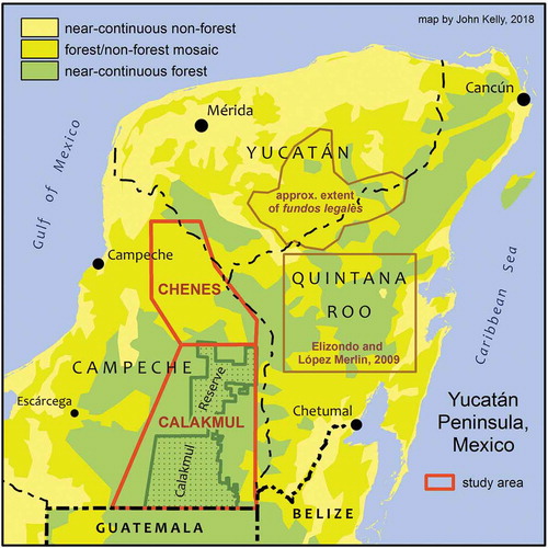 Figure 1. Yucatan Peninsula, Mexico: the Chenes and Calakmul study areas, the location of Elizondo and López Merlín (Citation2009) study, and the approximate extent of fundos legales (periurban multiuse forest reserves, sensu Levy Tacher et al., Citation2016). Land cover classes based on ‘tree cover’ layer in Hansen et al. (Citation2013), ‘intact forest landscape’ layer in Greenpeace (Citation2013), and author’s interpretation of 2018 LANDSAT imagery.