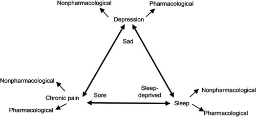 Figure 2 Bidirectional relationships between pain, mood and sleep.