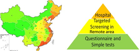 Figure 2. Hearing Screening in China 2012. Source: Liang & Mason (2012).