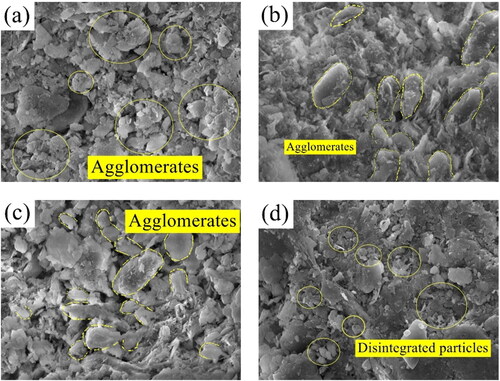 Figure 8. 10.0kx SEM images of undisturbed and reconstituted samples of high liquid limit clay (a) undisturbed sample θ = 0°; (b) undisturbed sample θ = 45°; (c) undisturbed sample θ = 90°; (d) reconstituted sample.