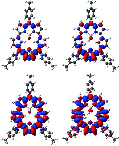 Figure 2 Reorganisation of the electronic density induced by the photon absorption (in red: increase of density; in blue: decrease of density). Left: free III (top: 429 nm absorption, bottom: 395 nm absorption). Right: F−-complexed III (top: 445 nm absorption, bottom: 404 nm absorption)