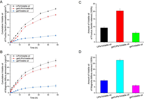 Figure 2 Cumulative permeation curve of Fructus Xanthii volatile oil in the nasal mucosa from the LIPs/volatile oil, gel/volatile oil, and binary gel/LIPs/volatile oil formulations (A); Cumulative permeation curve of Magno liliiflora volatile oil in the nasal mucosa from the LIPs/volatile oil, gel/volatile oil and binary gel/LIPs/volatile oil formulations (B); Amount of volatile oil of Fructus Xanthii retained in the nasal mucosa after 48 h of application of the different formulations (C); Amount of volatile oil of Magnolia liliiflora retained in the nasal mucosa after 48 h of application of the different formulations (D).