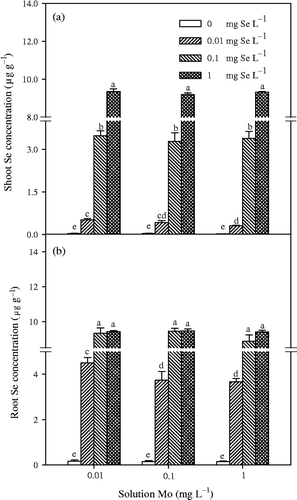 Figure 4. Selenium (Se) concentrations in shoot and root of Chinese cabbage (Brassica campestris L. ssp. Pekinensis) grown in solution culture with different concentrations of molybdenum (Mo) and Se. Bars indicate standard error (n = 4). Different letters indicate significant differences at p < 0.05.