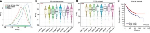 Figure 1 (A) The distribution of tumor purity in three datasets. (B) The distribution of tumor purity among TNM stages, MMR status, and primary locations in microarray dataset. (C) The distribution of tumor purity among TNM stages, MMR status, and primary locations in TCGA dataset. (D) Kaplan–Meier analysis of overall survival showed low purity colon cancer (separated by X-tile) that conferred worse prognosis in microarray dataset.Notes: ***P<0.001, **P=0.008.Abbreviations: TNM, tumor node metastasis; MMR, DNA mismatch repair; dMMR, MMR-deficient; pMMR, MMR-proficient.