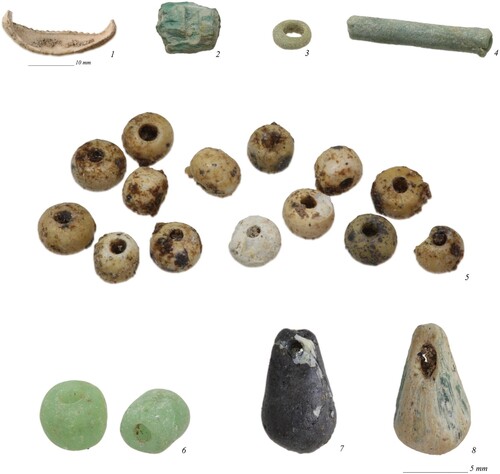 Figure 12. Beads from Tomb N2-1: 1) Cypraea sp. mollusc shell fragment BE21-44-026A-46A; 2) faience bead BE21-044-004-061; 3) faience bead BE21-044-012-025; 4) glazed steatite bead fragment BE21-044-013-033; 5) drawn and segmented glass beads BE21-044-006-060_F1893; 6) drawn and rounded glass beads BE21-044-006-060; 7) glass tear-drop pendant BE21-044-006-056A; 8) glass tear-drop pendant BE21-044-006-060 (photographs by J. Then-Obłuska and the Berenike Project).